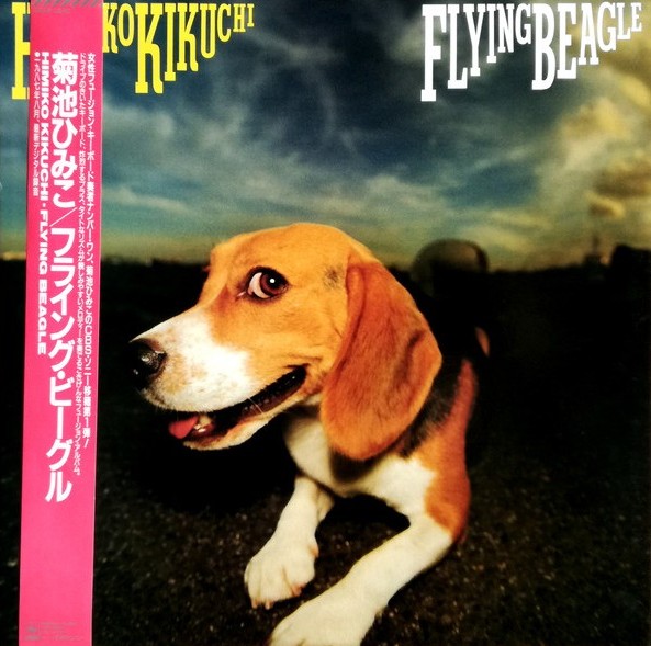 菊池ひみこ - Flying Beagle 28AH2240 買取金額:¥36000-